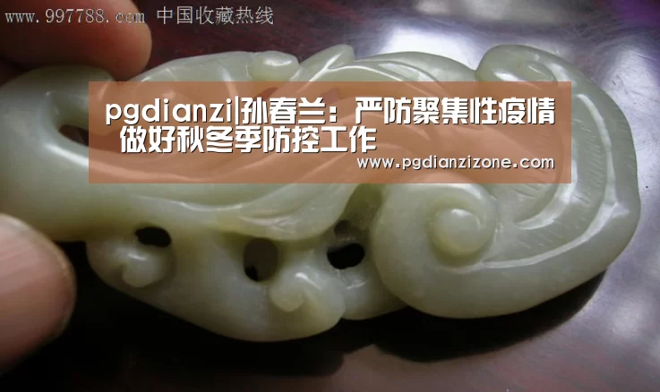 pgdianzi|孙春兰:严防聚集性疫情 做好秋冬季防控工作(图1) pg电子入口
