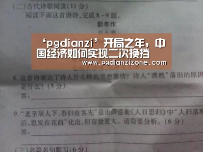 ‘pgdianzi’开局之年,中国经济如何实现二次换挡(图3) pg娱乐游戏官网