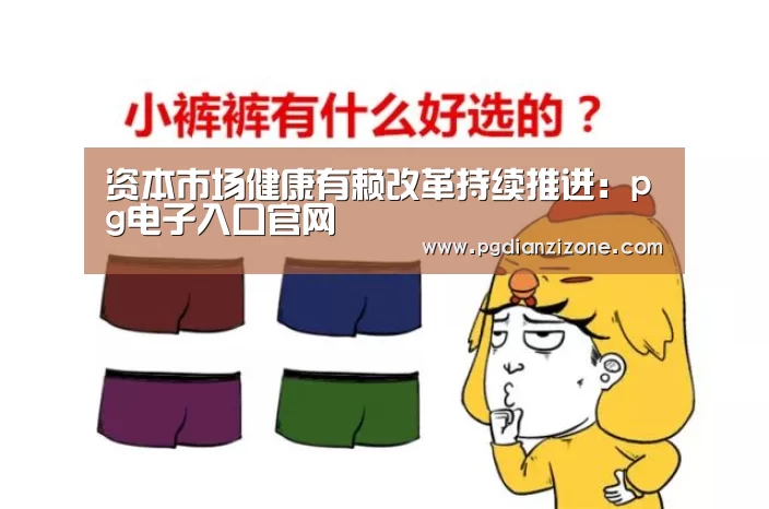 资本市场健康有赖改革持续推进:pg电子入口官网(图3) 资本市场健康有赖改革持续推进:pg电子入口官网(图3)