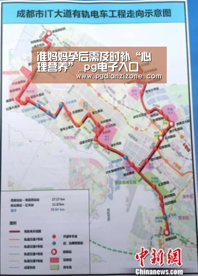 pg电子入口官网