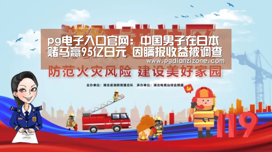 pg电子入口官网