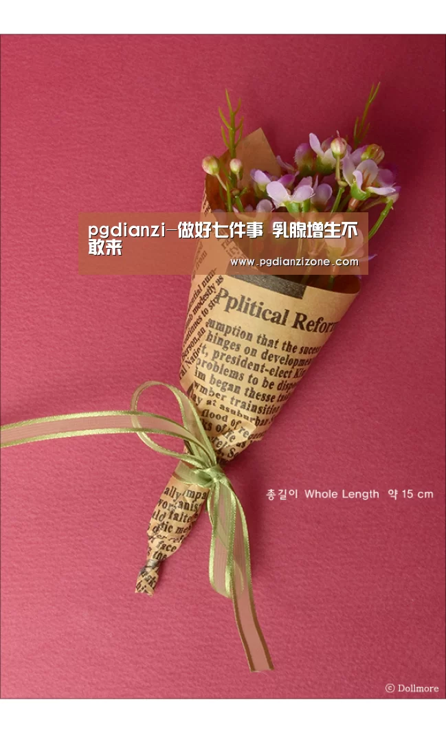 pg娱乐游戏官网
