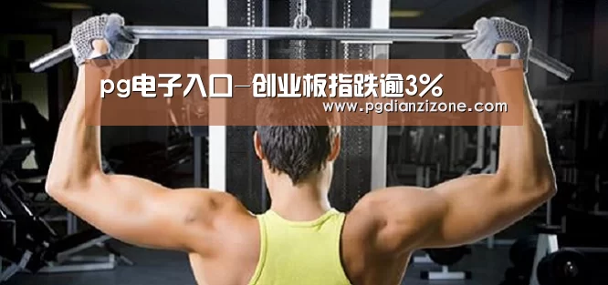pg电子入口官网