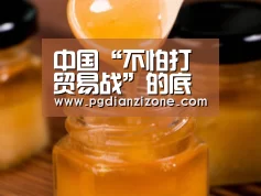 中国“不怕打贸易战”的底气_pgdianzi(图1) 中国“不怕打贸易战”的底气_pgdianzi(图1)