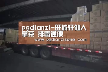 pgdianzi-旺城轩仙人掌茶 排毒通便