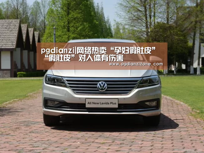 pg电子入口官网