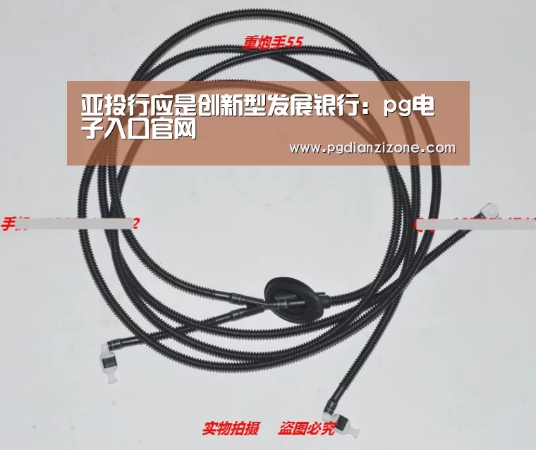 亚投行应是创新型发展银行:pg电子入口官网(图1) pg电子入口官网