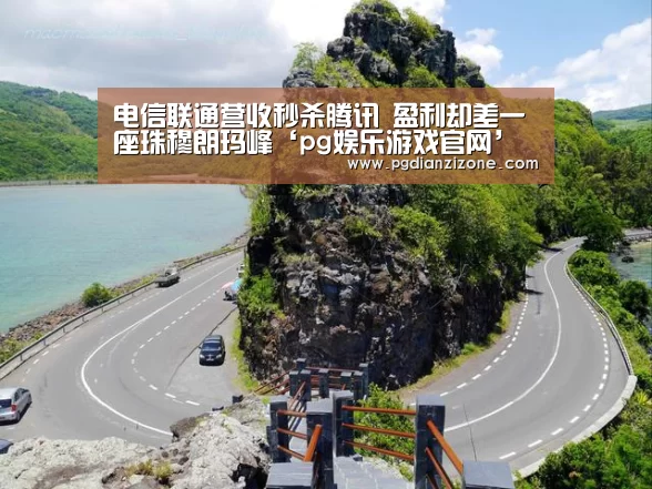 pg电子入口官网