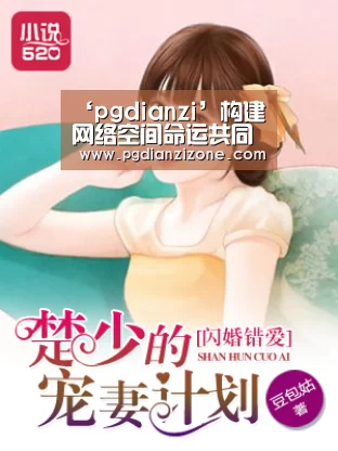 ‘pgdianzi’构建网络空间命运共同体,应对全球互联网发展新挑(图2) pg电子入口