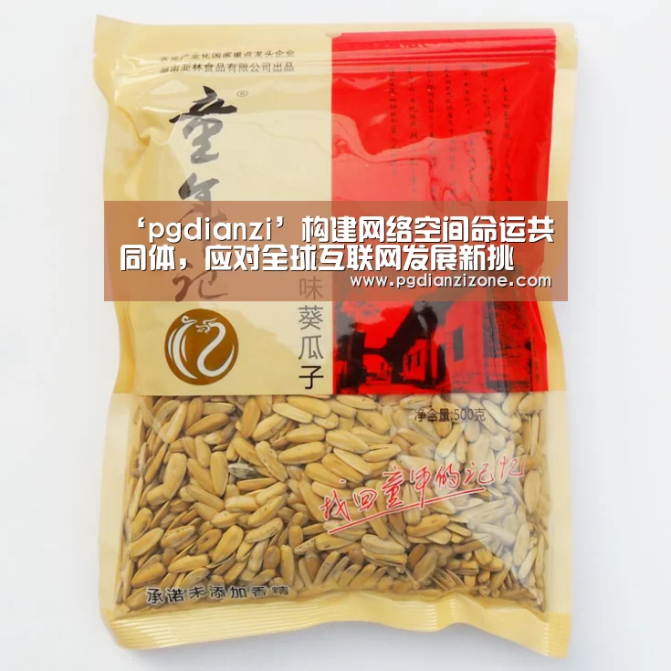 ‘pgdianzi’构建网络空间命运共同体,应对全球互联网发展新挑(图1) ‘pgdianzi’构建网络空间命运共同体,应对全球互联网发展新挑(图1)