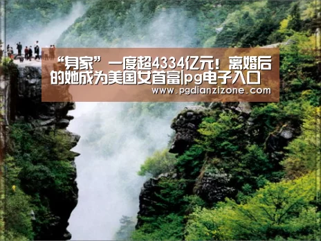 pg电子入口官网