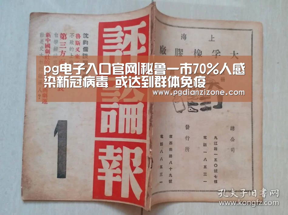 pg电子入口官网