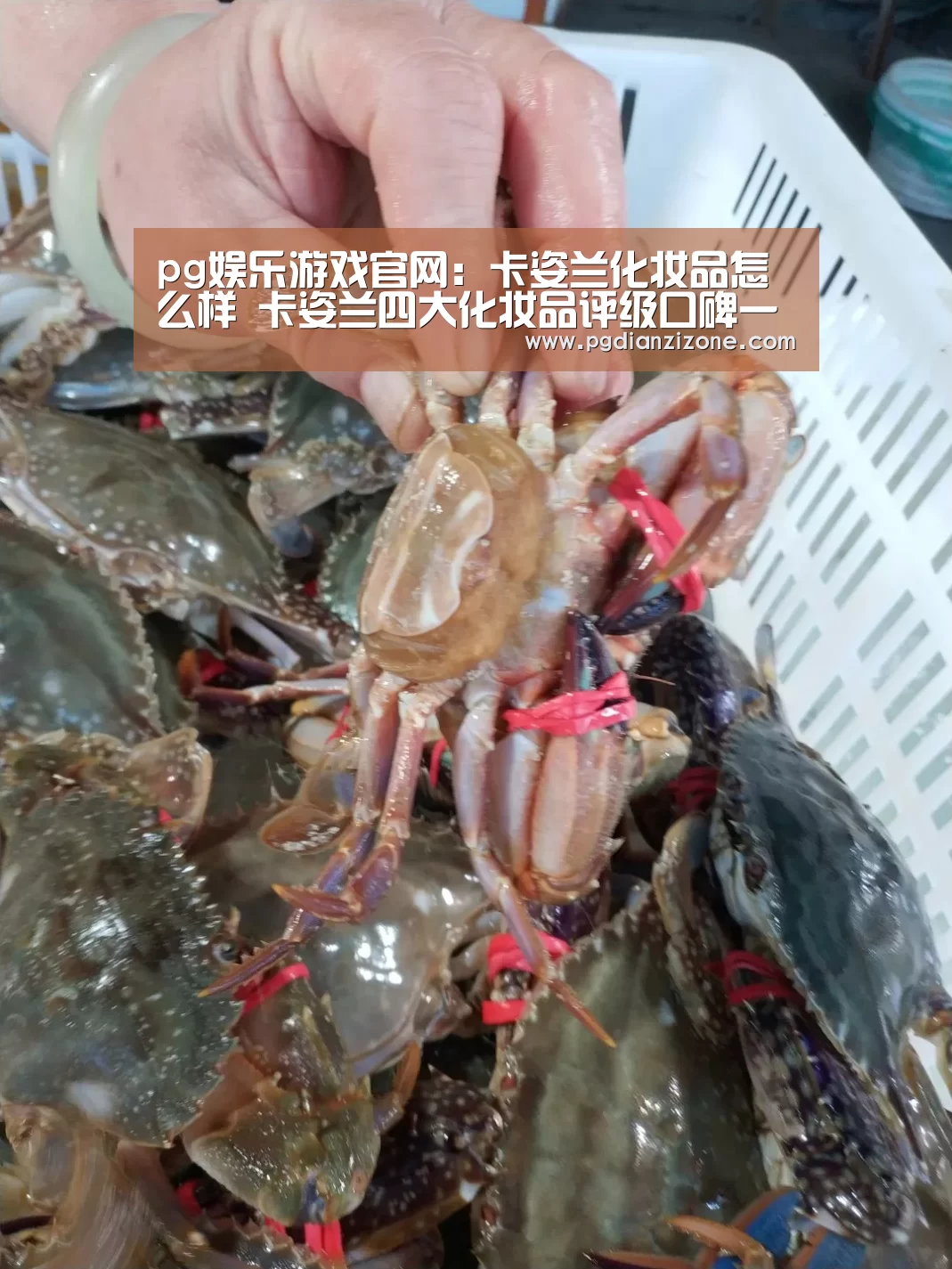 pg娱乐游戏官网:卡姿兰化妆品怎么样 卡姿兰四大化妆品评级口碑一流(图1) pg娱乐游戏官网:卡姿兰化妆品怎么样 卡姿兰四大化妆品评级口碑一流(图1)