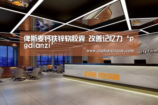 俾斯麦钙铁锌软胶囊 改善记忆力‘pgdianzi’