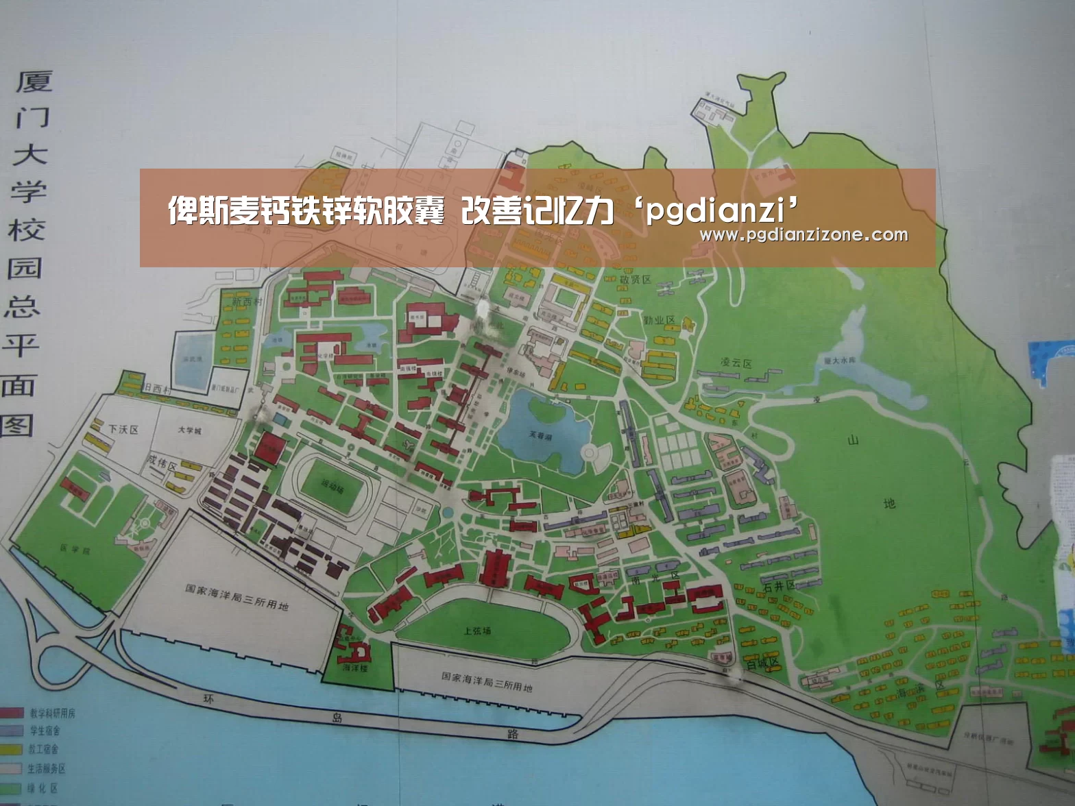 俾斯麦钙铁锌软胶囊 改善记忆力‘pgdianzi’(图4) pg电子入口