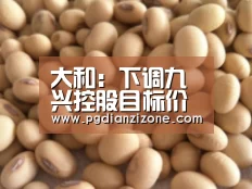 大和：下调九兴控股目标价至9港元 重申买入评级-pgdianzi(图3)