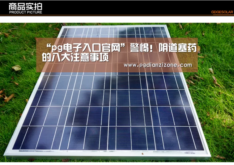 pg电子入口官网