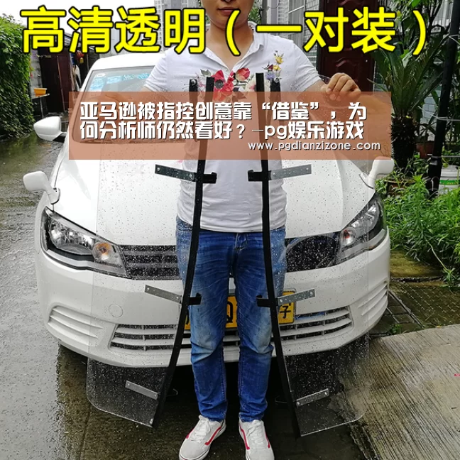 pg电子入口官网
